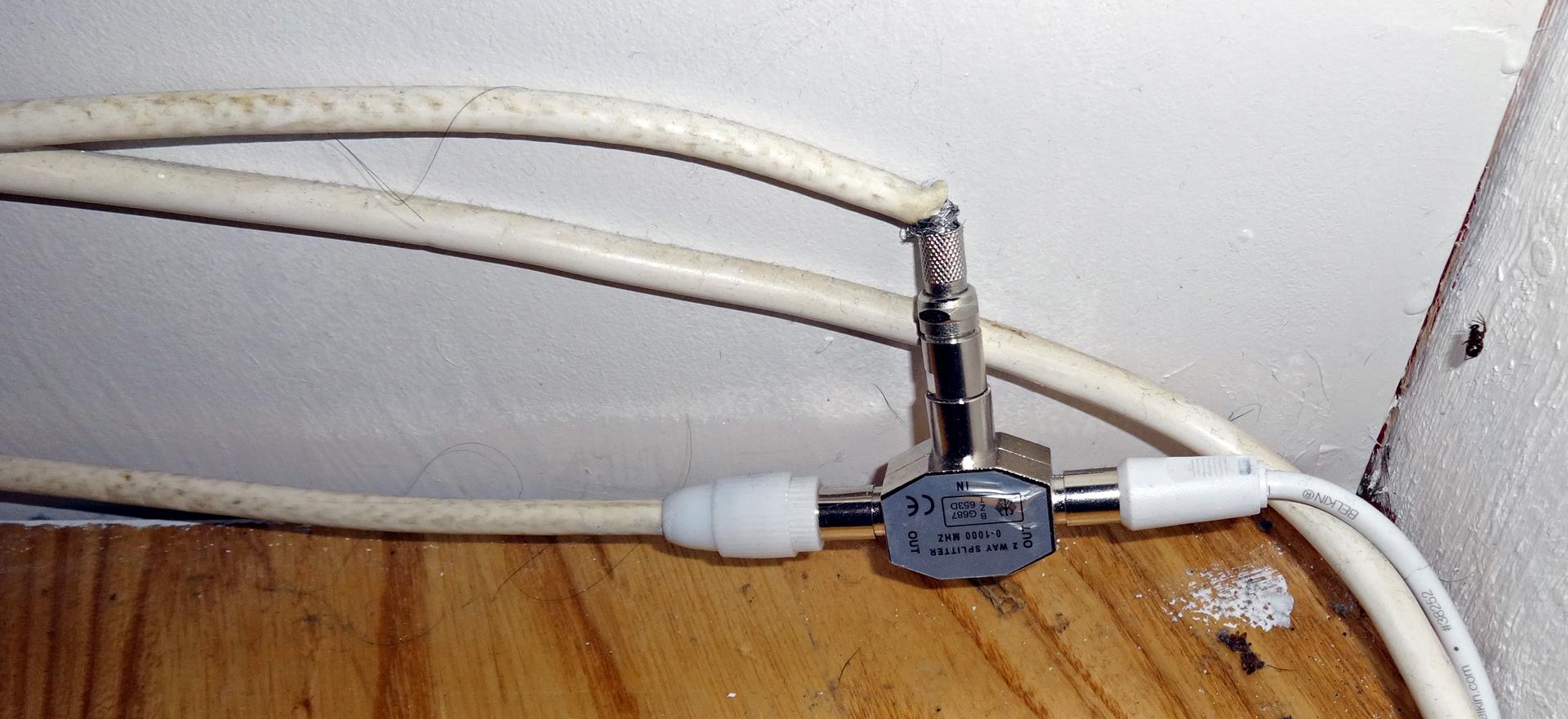 20150608-boxer-14779-splitter