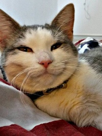20150205-Kivi