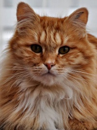 20200205-Terrest-Arbete-Sune-800X800
