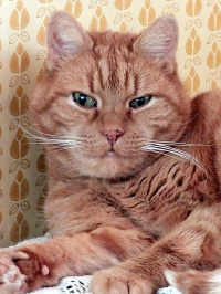 20220125-Terrest-Sixten-Bildspel