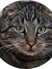 20220628-Boxer-113551-Felix-Rund